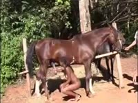 Ebony beastiality sex with a horse
